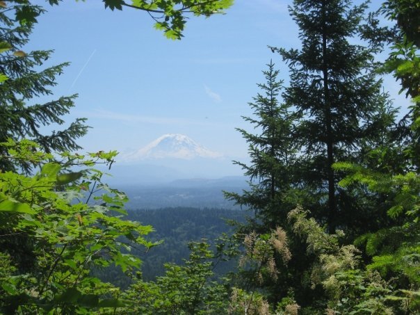 Tiger Mountain image