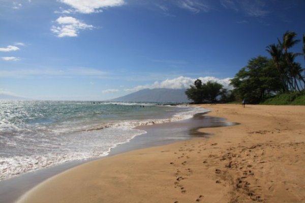 Ulua beach on Maui.