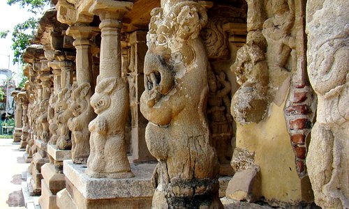 Kailasanathar temple - Yazhi columns