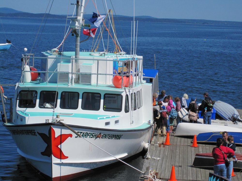 THE 10 BEST Bar Harbor Boat Rides & Cruises (Updated 2024)