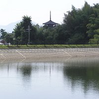 斑鳩溜池からの法隆寺