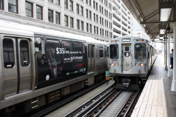 se permiten perros en los trenes del metro de chicago