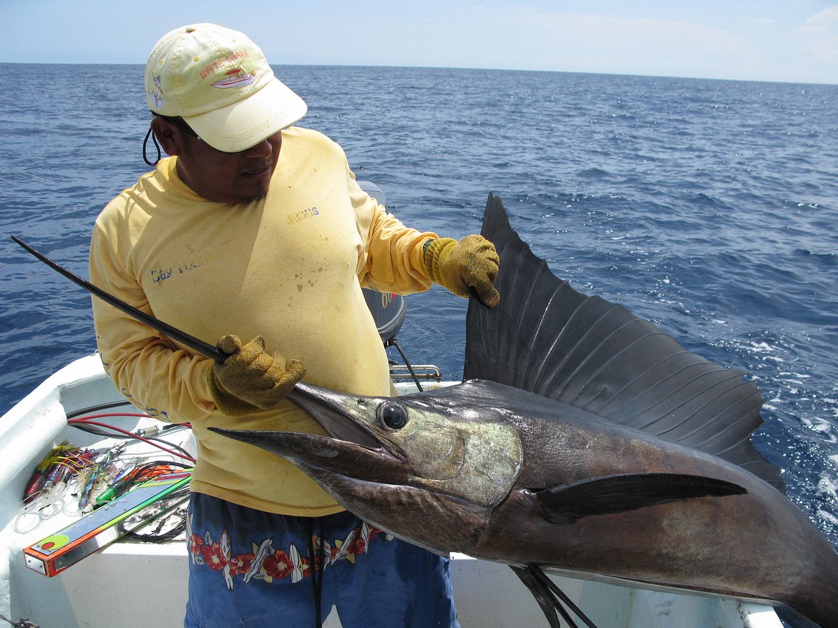 White Shark Sport Fishing & Tours - Qué SABER antes de ir (ACTUALIZADO  2024) - Tripadvisor