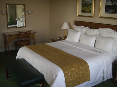 Hotel photo 4 of Santiago Marriott Hotel.