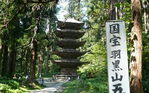 均整のとれた美しい姿です