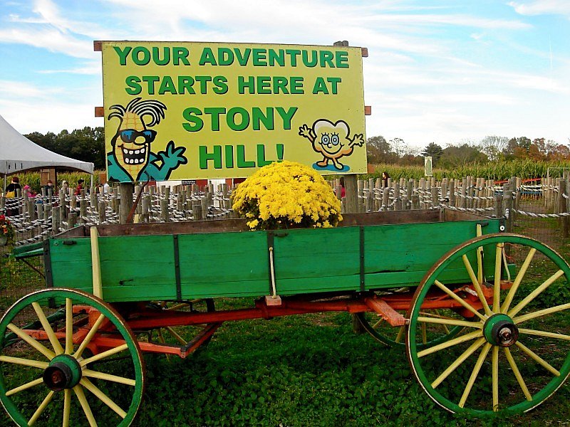 Stony Hill Farms image