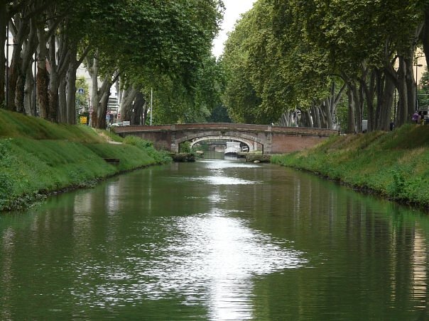 Canal de Brienne (Le) image