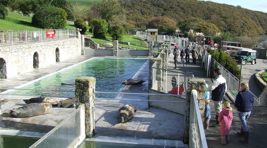 the pools