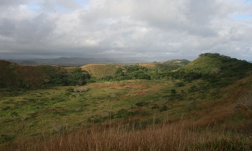 The vegetated dunes