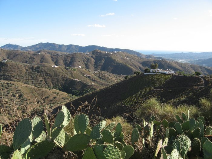 Imagen 2 de Cortijo el Carligto