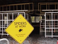 Order Your Unique Spider Web Plaques from Knight's Spider Web Farm