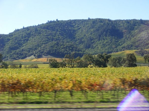 Napa Valley San Francisco