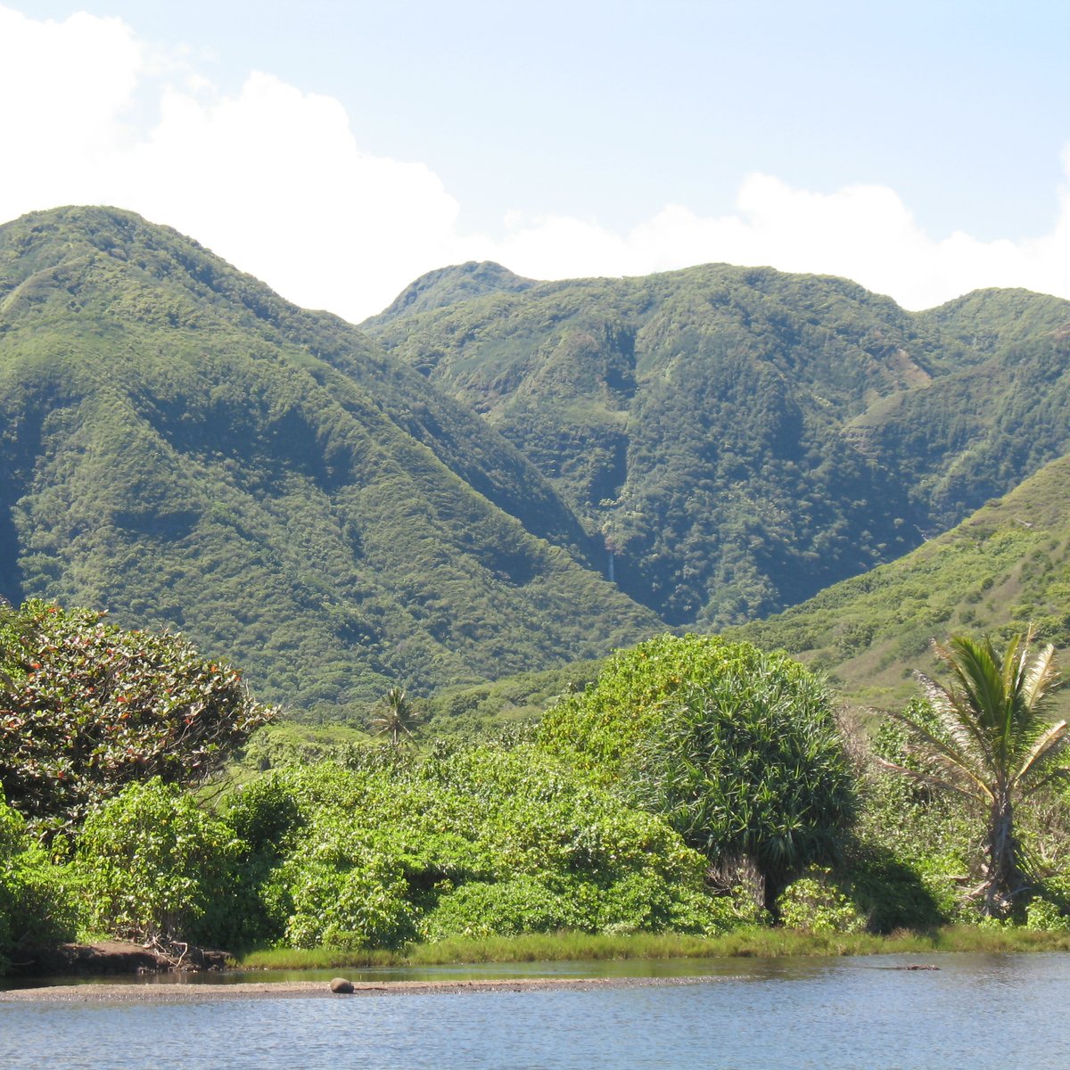 Maui / Molokai Ferry (Lahaina) All You Need to Know BEFORE You Go