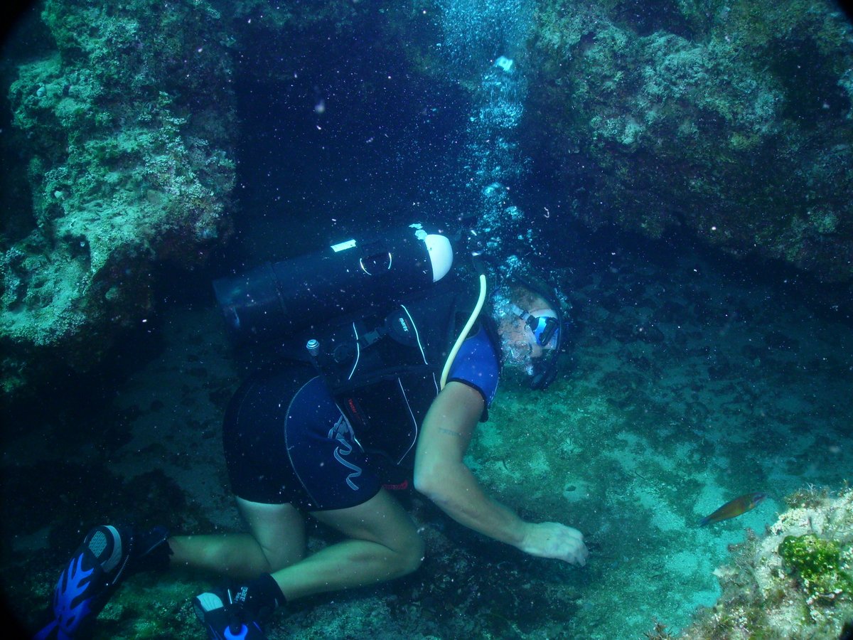 Айя Напа дайвинг центр Olympian Divers