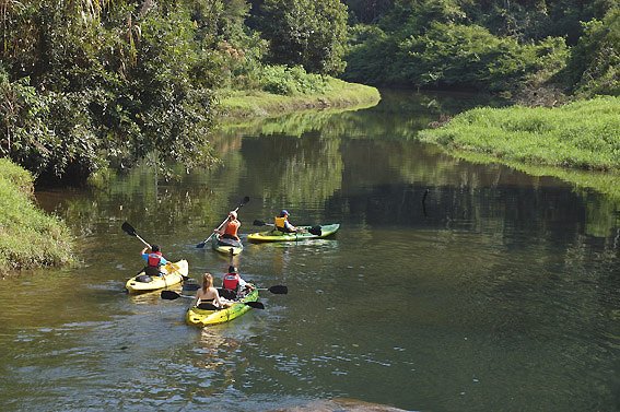 Excursão de 2 horas a pé da histórica cidade de Paraty, Brasil: experiência  oferecida por Paraty Explorer - Tripadvisor