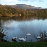 Gartmorn Dam - December 2009