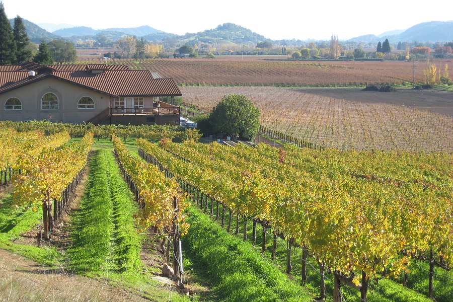 wine country tours