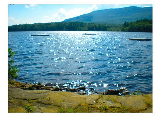 are dogs allowed at mount monadnock