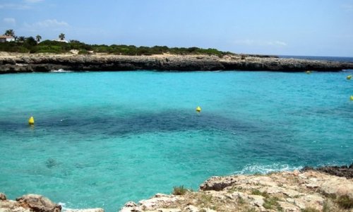 cala en bosc
