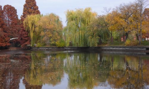 湖面に映える紅葉