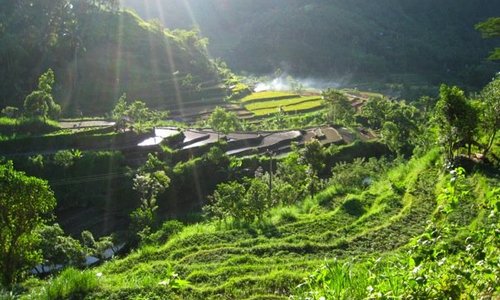 My favourite picture of my trip to Bali in May 2007