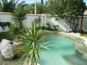 Pool & Beach