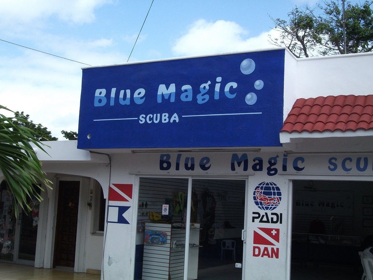 BLUE MAGIC SCUBA (Cozumel) - All You Need to Know BEFORE You Go