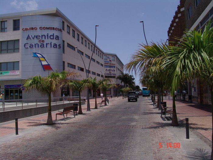 Imagen 8 de Hotel Avenida de Canarias