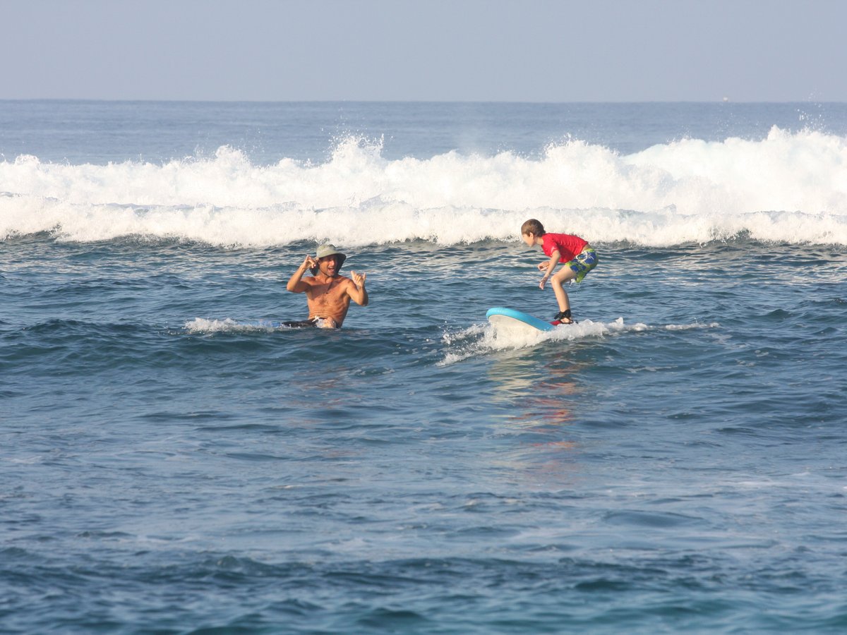 Surfer Bear Hawaii Surf Lessons (KailuaKona) All You Need to Know