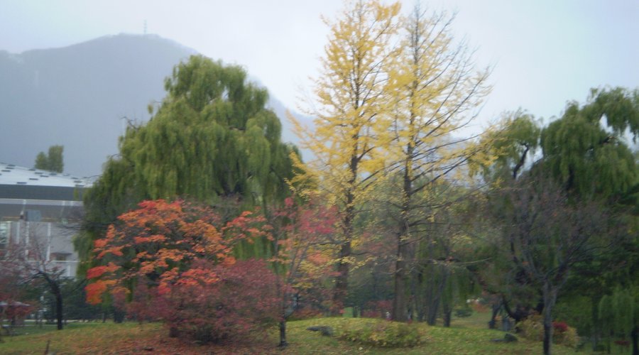 池