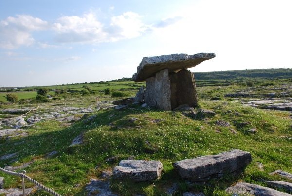 Burren Birds of Prey Centre - All You Need to Know BEFORE You Go (with  Photos)