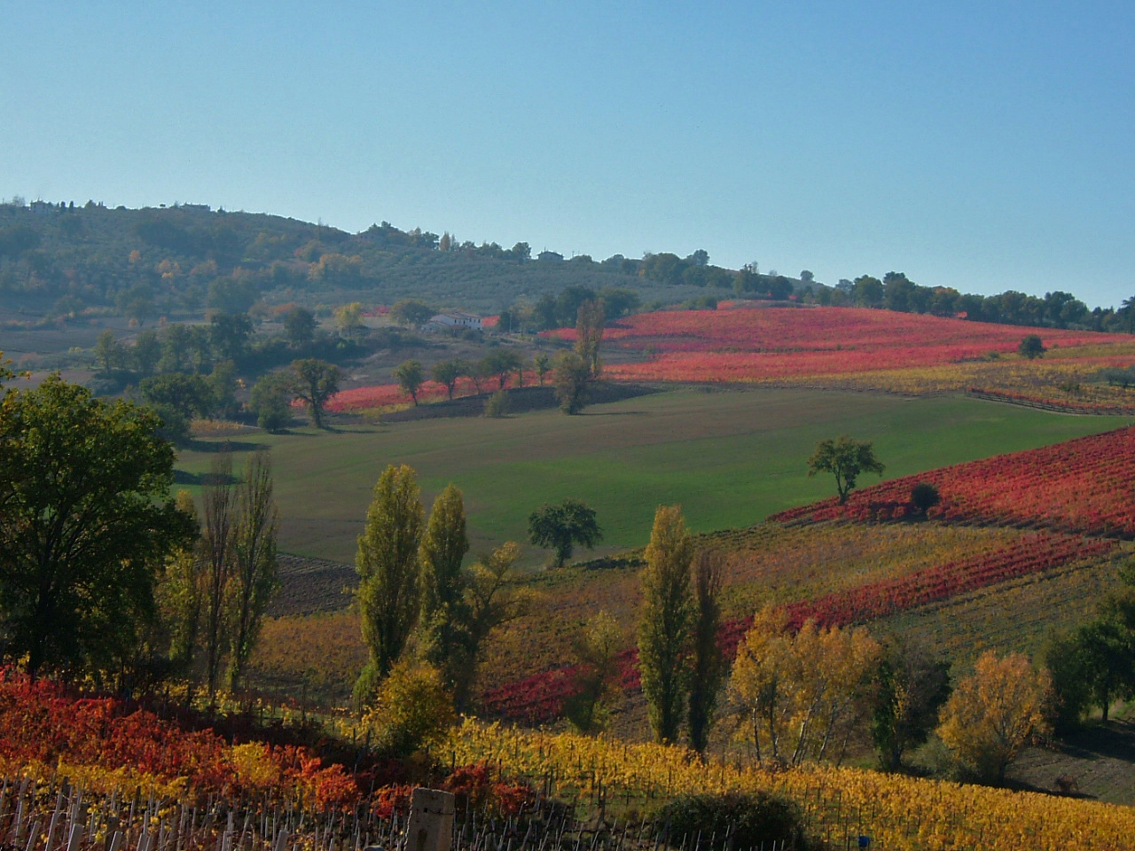 Cantina Colle Mora (Montefalco) - Lo Que Se Debe Saber Antes De Viajar ...