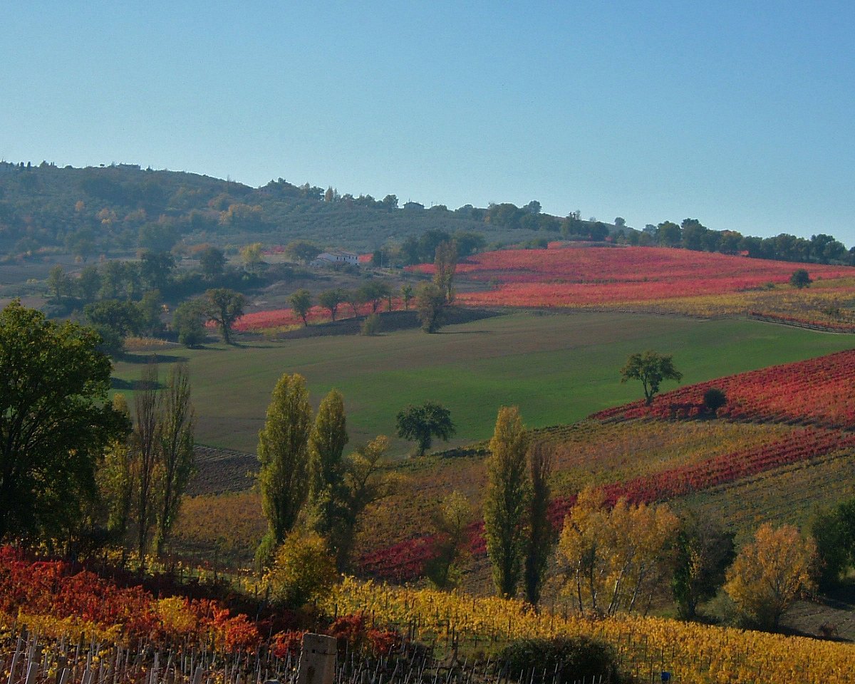 montefalco wine tours