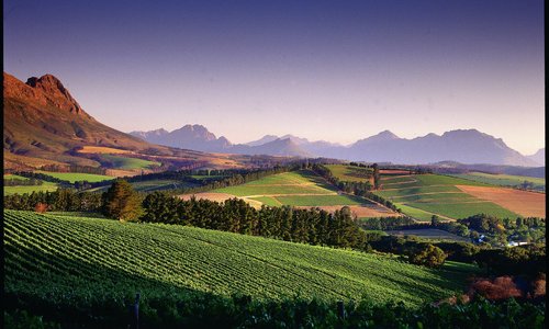 View on the 'BIG 5 WINE SAFARI'