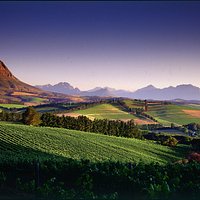 View on the 'BIG 5 WINE SAFARI'