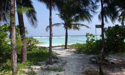 The beach