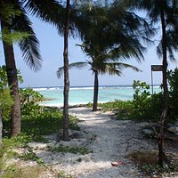 The beach