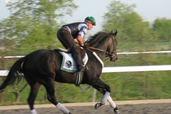 Early morning workout, Spring, 2008, at Keeneland Racetrack, Lexington, Kentucky, USA.