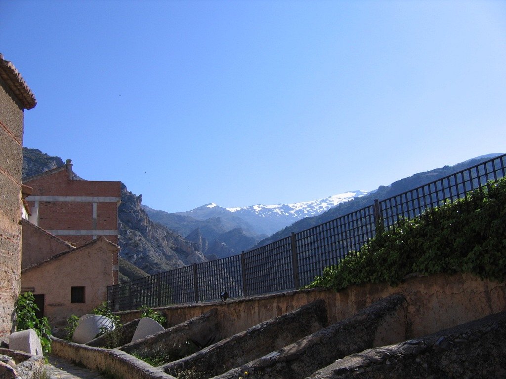 olive oil tours granada spain