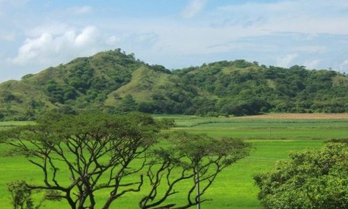 National Park  "Palo Verde" -