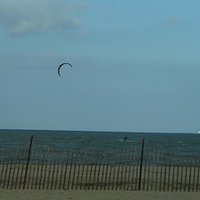 Lewes Beach 2009