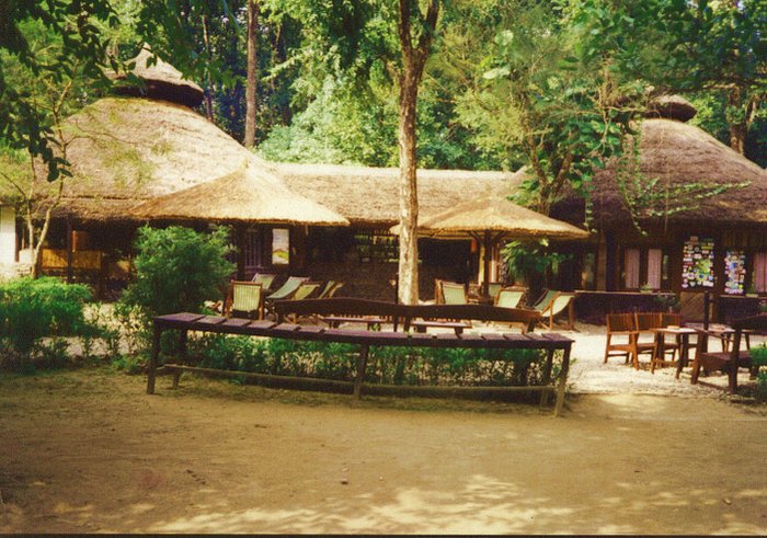 jungle safari lodge chitwan contact number