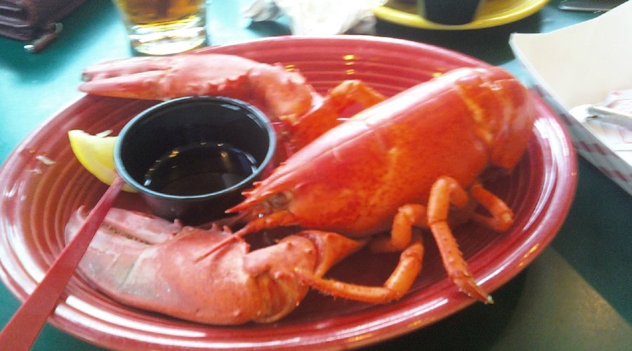 perfect lobster