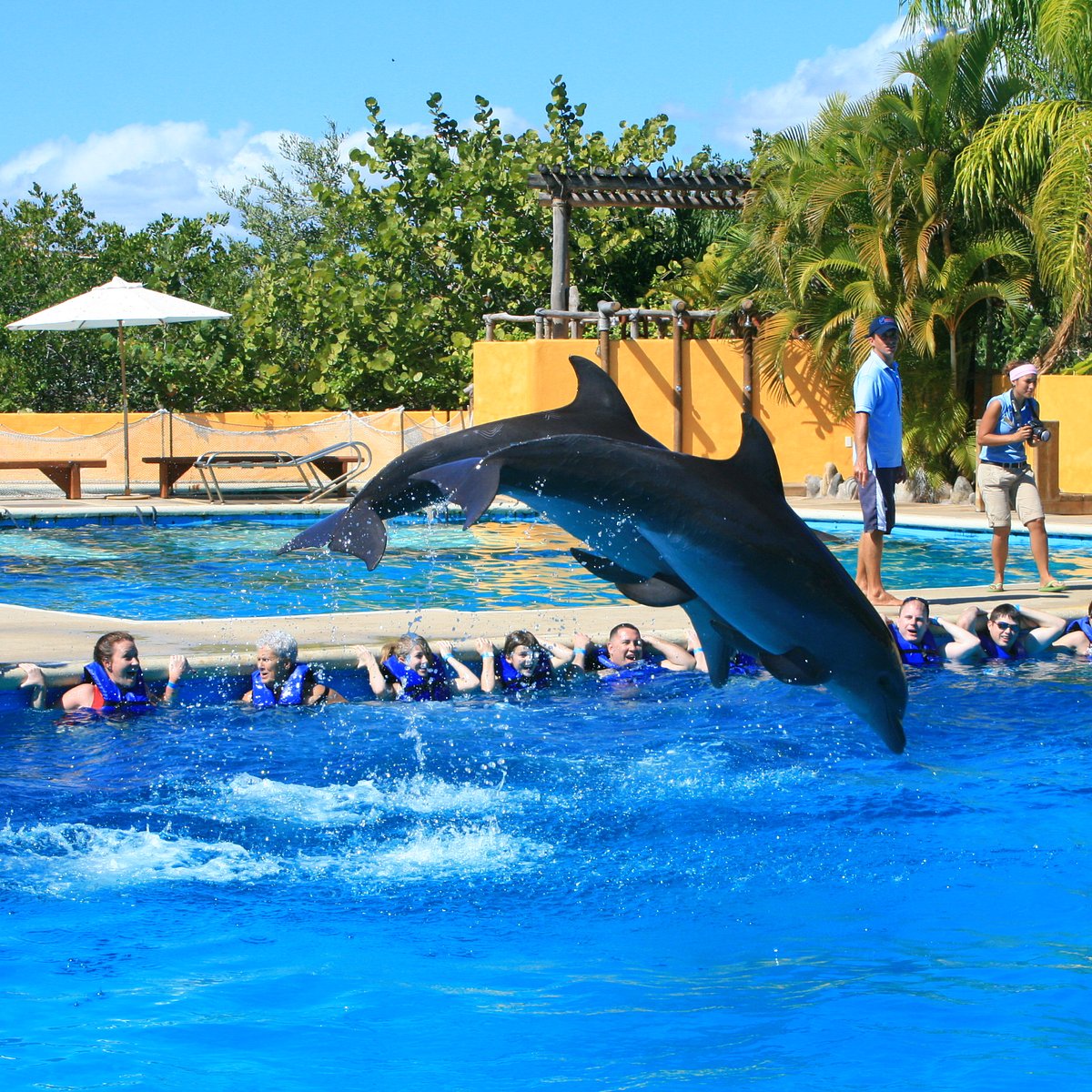 puerto vallarta discovery tours