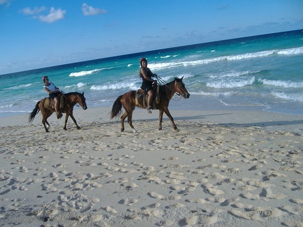 Nude Laying On The Beach - Pandora Stables (Punta Cana) - All You Need to Know BEFORE You Go