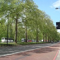 Park Lane