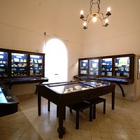 sala di paleontologia e geologia