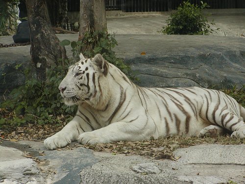 The Best Zoos & Aquariums In Ho Chi Minh City - Tripadvisor