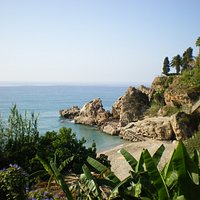 Une végétation luxuriante
