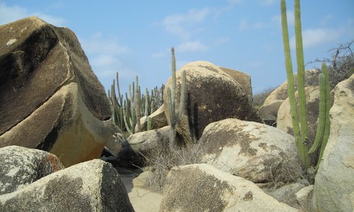 Interesting landscape